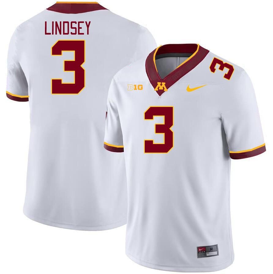 Men #3 Drake Lindsey Minnesota Golden Gophers College Football Jerseys Stitched-White